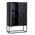 Laxon Black 2 Door Cabinet